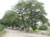 Oak Flat Campground